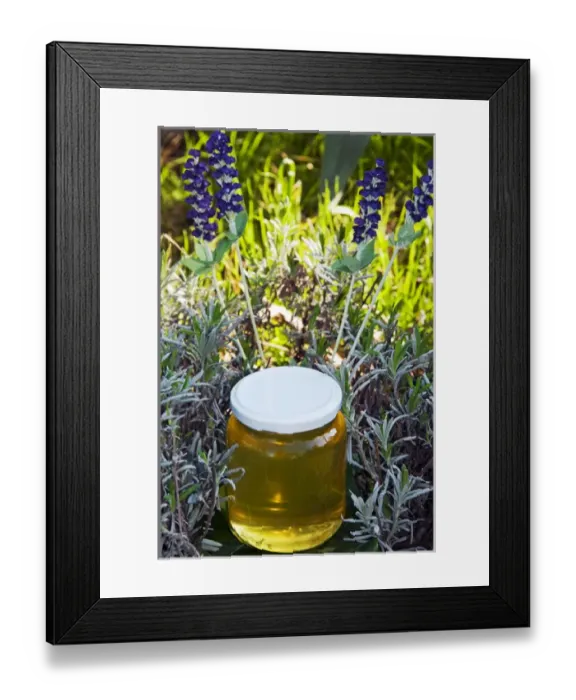 Framed Print : Lavender honey in jar and lavender plant