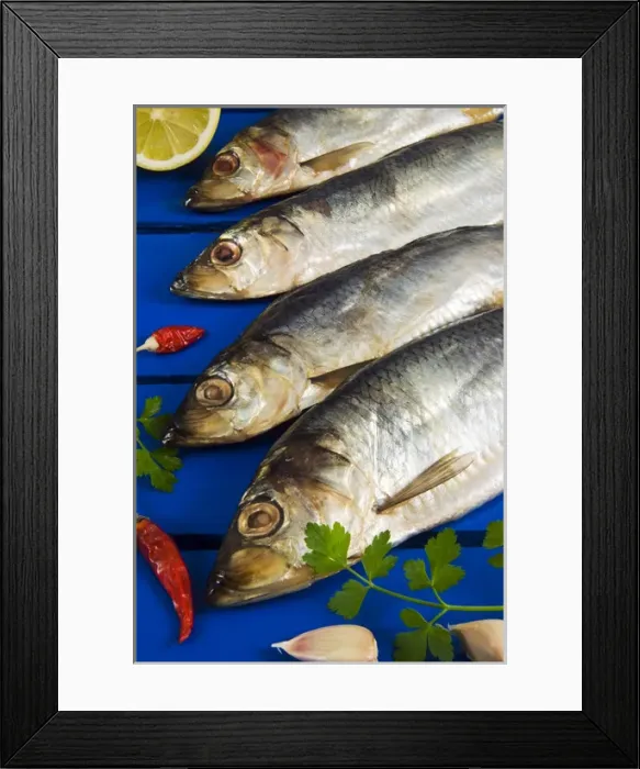 Framed Print : Dried and smoked Atlantic herring (Clupea harengus) Framed Print : Dried and smoked Atlantic herring (Clupea harengus)