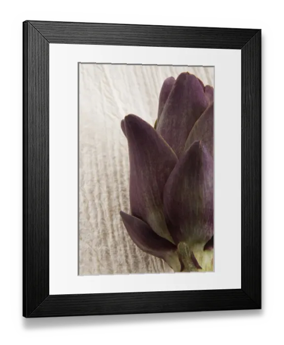 Framed Print : Artichoke