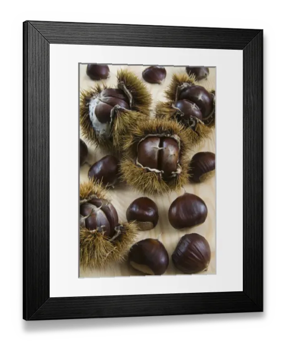 Framed Print : Sweet Chestnuts with and without the spiny shell Framed Print : Sweet Chestnuts with and without the spiny shell