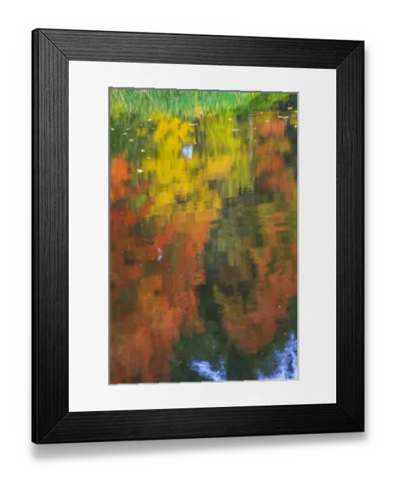 Framed Print : Fall colors are reflected in this pond becoming abstract as the wind blew the surface