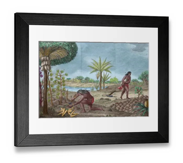 Framed Print : South American Indians. 16th-18th century Framed Print : South American Indians. 16th-18th century