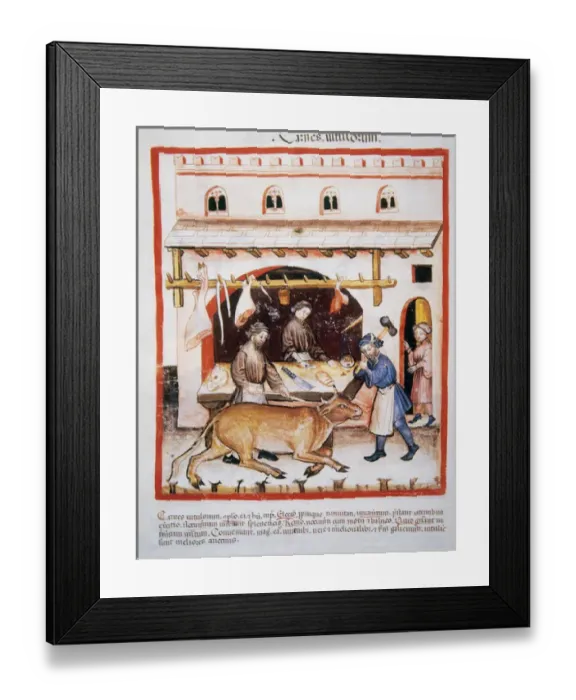 Framed Print : Tacuinum Sanitatis. Medieval Health Handbook, dated before 1400, based on observations Framed Print : Tacuinum Sanitatis. Medieval Health Handbook, dated before 1400, based on observations