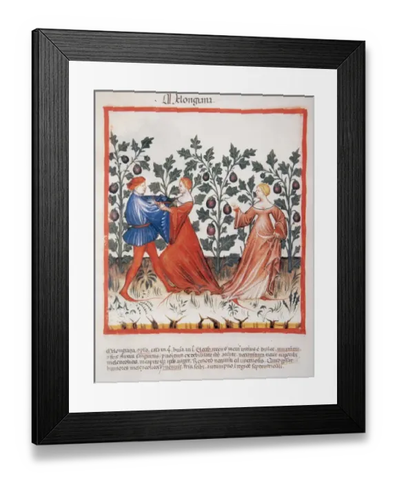 Framed Print : Tacuinum Sanitatis. Medieval Health Handbook, dated before 1400, based on observations Framed Print : Tacuinum Sanitatis. Medieval Health Handbook, dated before 1400, based on observations