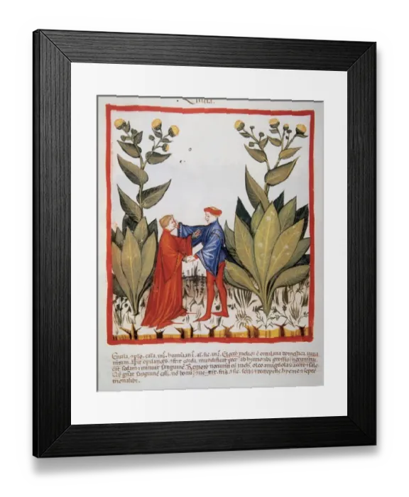 Framed Print : Tacuinum Sanitatis. Medieval Health Handbook, dated before 1400, based on observations Framed Print : Tacuinum Sanitatis. Medieval Health Handbook, dated before 1400, based on observations