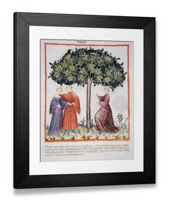 Framed Print : Tacuinum Sanitatis. Medieval Health Handbook, dated before 1400, based on observations