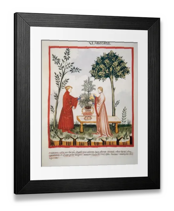 Framed Print : Tacuinum Sanitatis. Medieval Health Handbook, dated before 1400, based on observations Framed Print : Tacuinum Sanitatis. Medieval Health Handbook, dated before 1400, based on observations