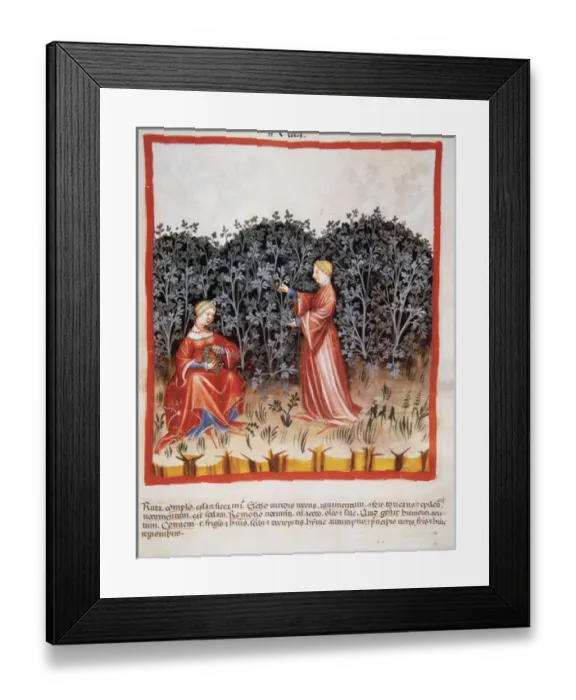 Framed Print : Tacuinum Sanitatis. Medieval Health Handbook, dated before 1400, based on observations Framed Print : Tacuinum Sanitatis. Medieval Health Handbook, dated before 1400, based on observations