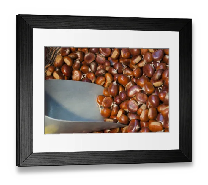 Framed Print : Sweet Chestnuts Framed Print : Sweet Chestnuts