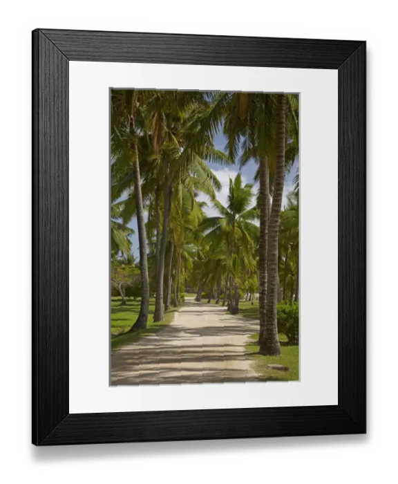 Framed Print : Avenue of Palms, Musket Cove Island Resort, Malolo Lailai Island, Mamanuca Islands