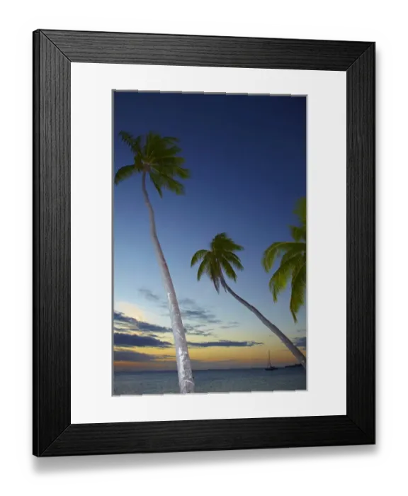 Framed Print : Palm trees and sunset, Plantation Island Resort, Malolo Lailai Island, Mamanuca Islands Framed Print : Palm trees and sunset, Plantation Island Resort, Malolo Lailai Island, Mamanuca Islands