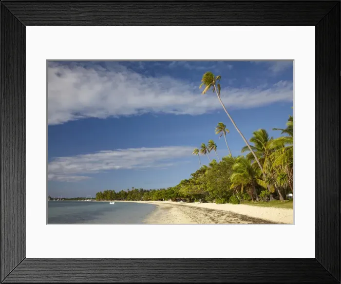 Framed Print : Beach and palm trees, Plantation Island Resort, Malolo Lailai Island, Mamanuca Islands