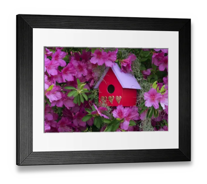Framed Print : Birdhouse and Azaleas in Garden. Credit as: Nancy Rotenberg  /  Jaynes Gallery  /  DanitaDelimont
