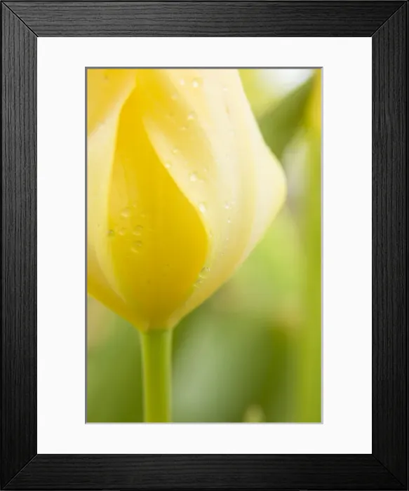 Framed Print : USA, North America, Washington Framed Print : USA, North America, Washington
