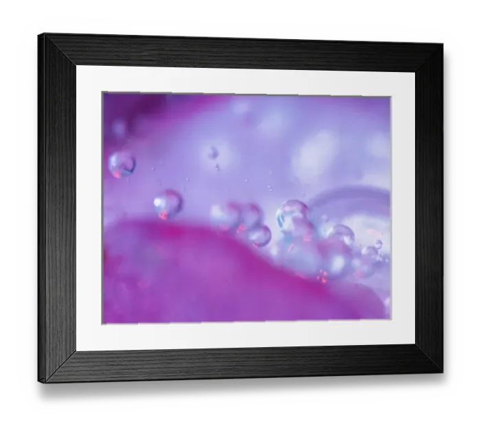 Framed Print : Dew drops on flower petal abstract. Credit as: Nancy Rotenberg  /  Jaynes Gallery  /  DanitaDelimont