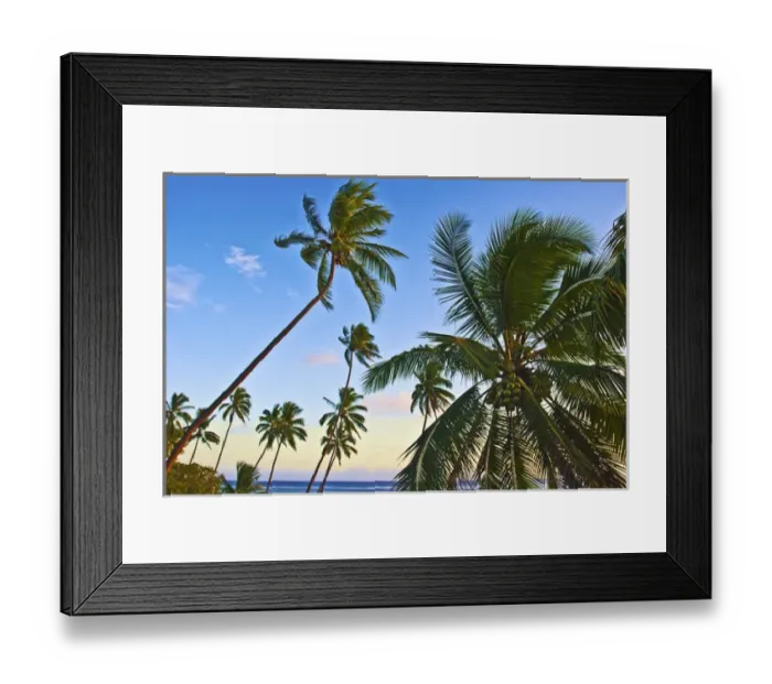 Framed Print : Nanuku Levu, Fiji Islands palm trees with coconuts, Fiji, South Pacific, Oceania Framed Print : Nanuku Levu, Fiji Islands palm trees with coconuts, Fiji, South Pacific, Oceania