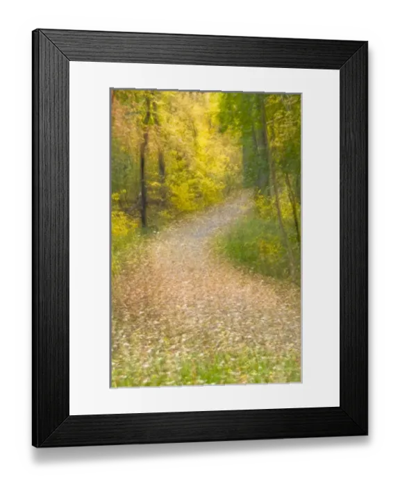Framed Print : Impressionistic view of trees in autumn colors and leaf-covered pathway. Credit as Framed Print : Impressionistic view of trees in autumn colors and leaf-covered pathway. Credit as