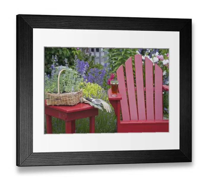 Framed Print : Ice tea rests on red chair while gardening Framed Print : Ice tea rests on red chair while gardening
