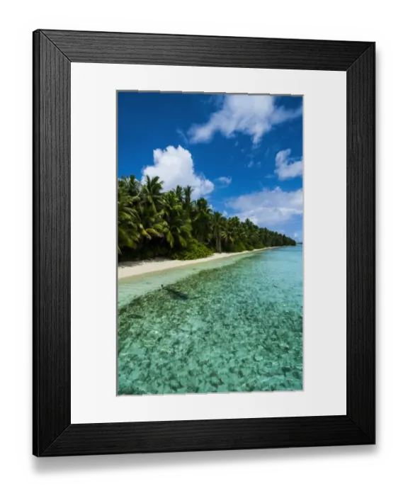 Framed Print : Paradise white sand beach in turquoise water in the Ant Atoll, Pohnpei, Micronesia Framed Print : Paradise white sand beach in turquoise water in the Ant Atoll, Pohnpei, Micronesia