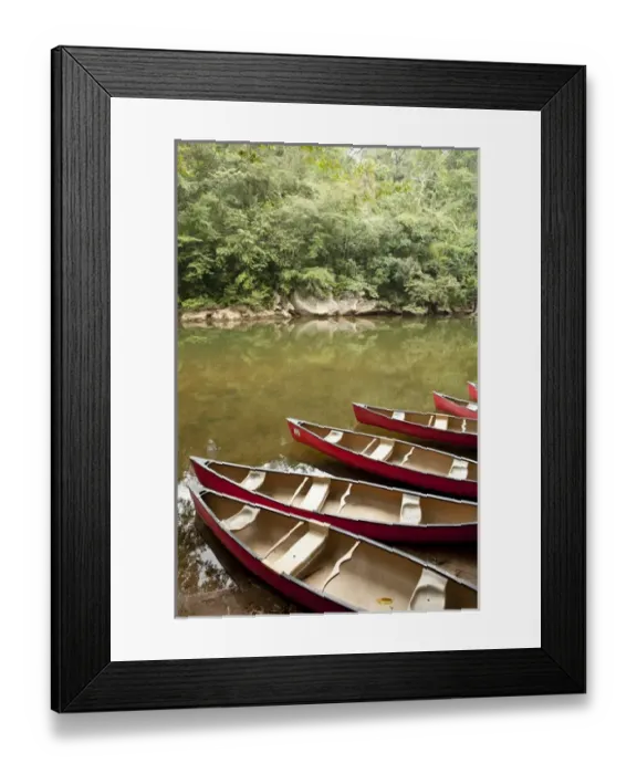 Framed Print : Canoeing the Macal River in jungle area of Central America, Belize Framed Print : Canoeing the Macal River in jungle area of Central America, Belize