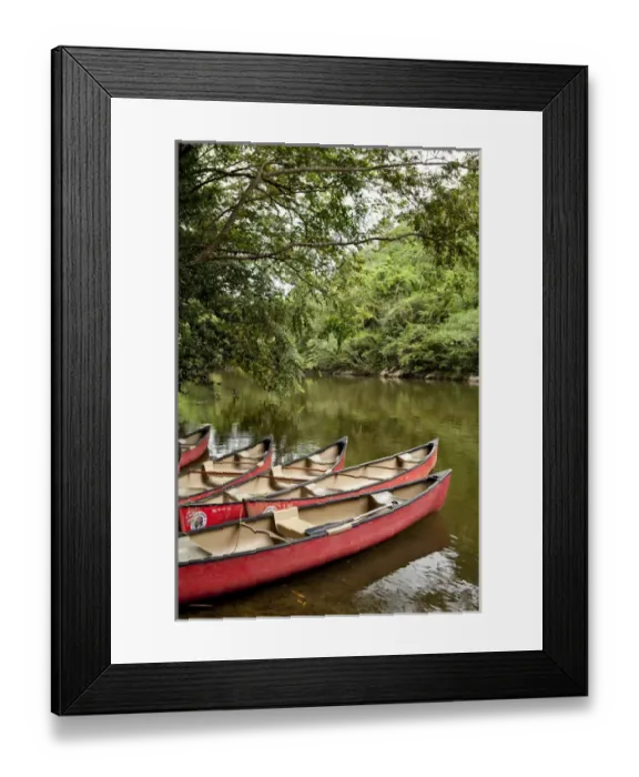 Framed Print : Canoeing the Macal River in jungle area of Central America, Belize Framed Print : Canoeing the Macal River in jungle area of Central America, Belize