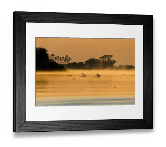 Framed Print : South America, Brazil, Mato Grosso, The Pantanal, Rio Cuiaba