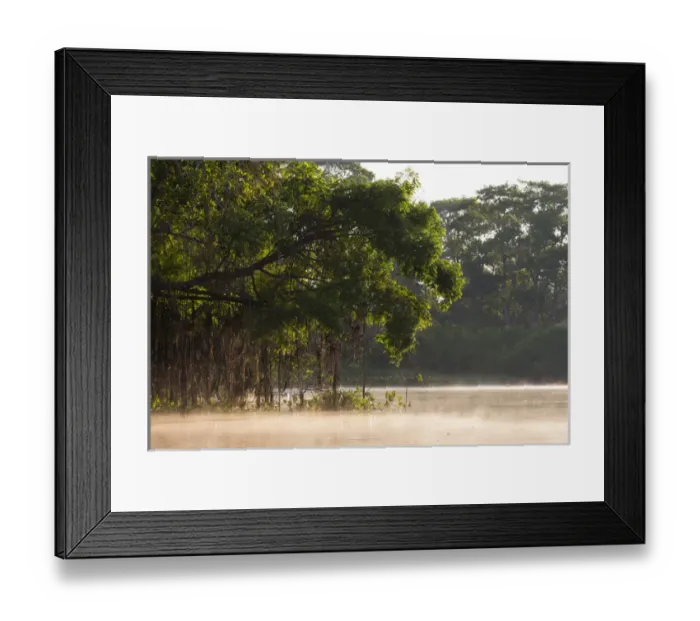 Framed Print : South America, Brazil, Mato Grosso, The Pantanal, Rio Cuiaba