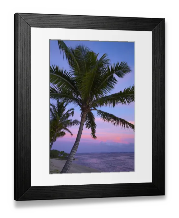 Framed Print : Sunset and palm tree, Coral Coast, Viti Levu, Fiji, South Pacific