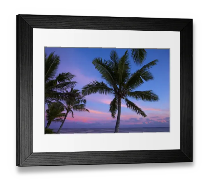 Framed Print : Sunset and palm trees, Coral Coast, Viti Levu, Fiji, South Pacific Framed Print : Sunset and palm trees, Coral Coast, Viti Levu, Fiji, South Pacific