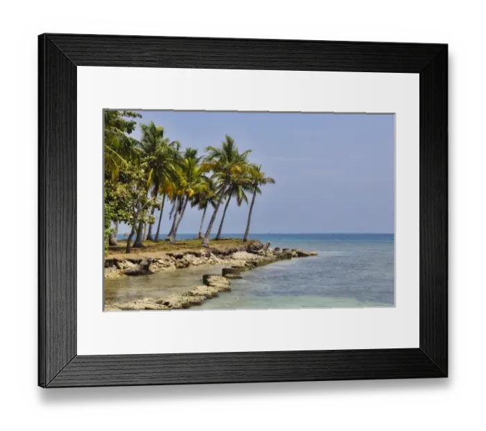 Framed Print : Colombia, San Bernardo Islands. Palm trees at the ocean Framed Print : Colombia, San Bernardo Islands. Palm trees at the ocean