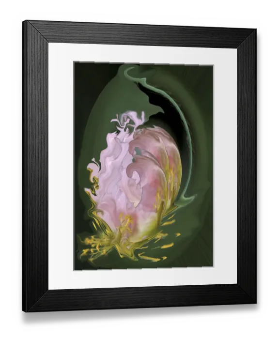 Framed Print : Abstract flowers, digitally manipulated. Credit as: Ellen Anon  /  Jaynes Gallery  /  DanitaDelimont