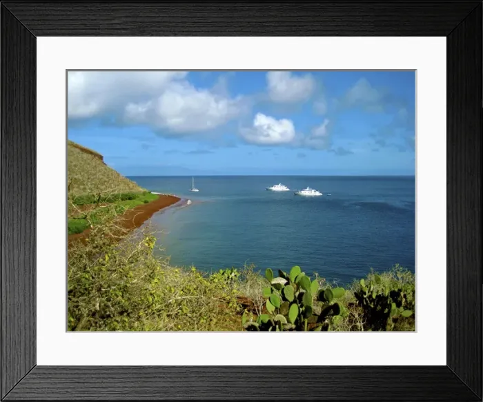 Framed Print : A sailboat and yachts with tourists along Coastline of the Galapagos Islands of Ecuador Framed Print : A sailboat and yachts with tourists along Coastline of the Galapagos Islands of Ecuador