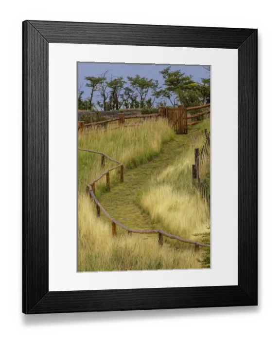 Framed Print : Grass lined pathway, Los Glaciares National Park, Argentina, South America, Patagonia Framed Print : Grass lined pathway, Los Glaciares National Park, Argentina, South America, Patagonia