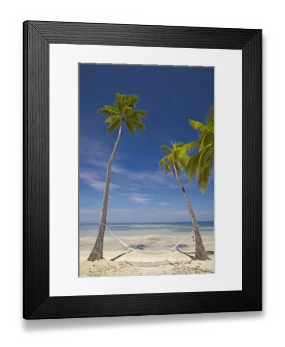 Framed Print : Hammock and palm trees, Plantation Island Resort, Malolo Lailai Island, Mamanuca Islands Framed Print : Hammock and palm trees, Plantation Island Resort, Malolo Lailai Island, Mamanuca Islands