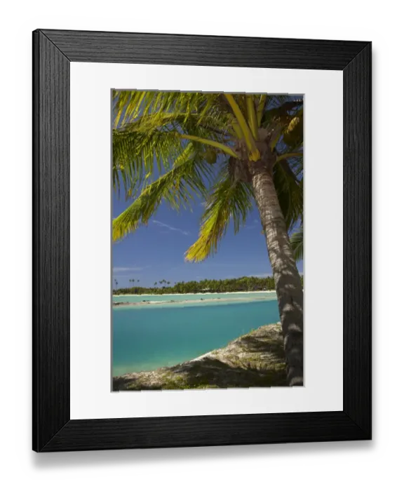 Framed Print : Palm trees and lagoon entrance, Musket Cove Island Resort, Malolo Lailai Island, Mamanuca Islands Framed Print : Palm trees and lagoon entrance, Musket Cove Island Resort, Malolo Lailai Island, Mamanuca Islands