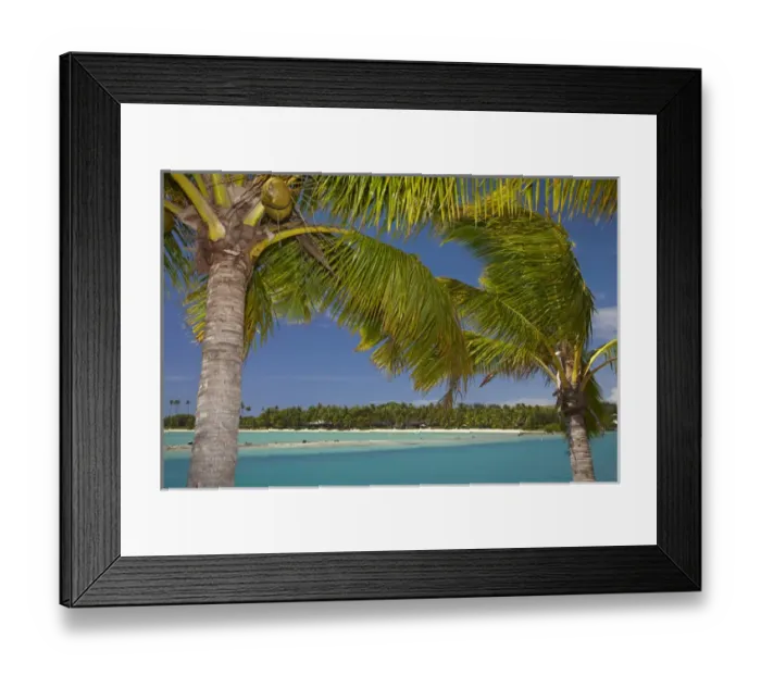 Framed Print : Palm trees and lagoon entrance, Musket Cove Island Resort, Malolo Lailai Island, Mamanuca Islands Framed Print : Palm trees and lagoon entrance, Musket Cove Island Resort, Malolo Lailai Island, Mamanuca Islands
