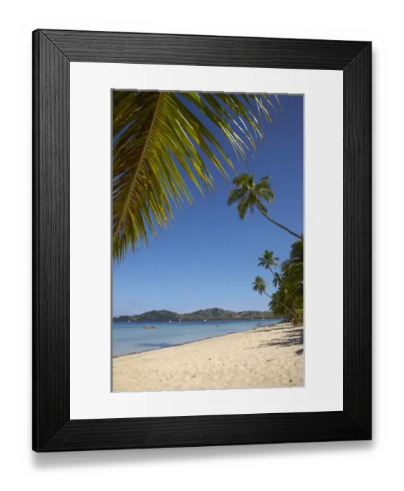 Framed Print : Beach and palm trees, Plantation Island Resort, Malolo Lailai Island, Mamanuca Islands Framed Print : Beach and palm trees, Plantation Island Resort, Malolo Lailai Island, Mamanuca Islands