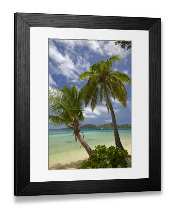 Framed Print : Beach and palm trees, Plantation Island Resort, Malolo Lailai Island, Mamanuca Islands Framed Print : Beach and palm trees, Plantation Island Resort, Malolo Lailai Island, Mamanuca Islands