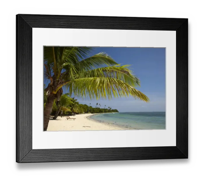 Framed Print : Beach and palm trees, Plantation Island Resort, Malolo Lailai Island, Mamanuca Islands Framed Print : Beach and palm trees, Plantation Island Resort, Malolo Lailai Island, Mamanuca Islands