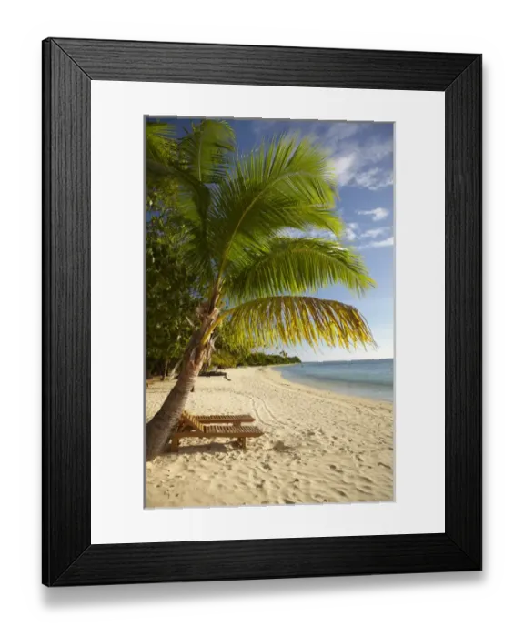 Framed Print : Beach and palm trees, Plantation Island Resort, Malolo Lailai Island, Mamanuca Islands Framed Print : Beach and palm trees, Plantation Island Resort, Malolo Lailai Island, Mamanuca Islands