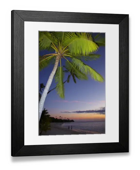 Framed Print : Palm trees and sunset, Plantation Island Resort, Malolo Lailai Island, Mamanuca Islands Framed Print : Palm trees and sunset, Plantation Island Resort, Malolo Lailai Island, Mamanuca Islands