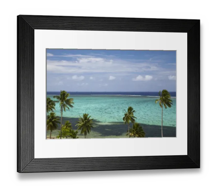 Framed Print : Palm trees and coral reef, Crusoes Retreat, Coral Coast, Viti Levu, Fiji, South Framed Print : Palm trees and coral reef, Crusoes Retreat, Coral Coast, Viti Levu, Fiji, South