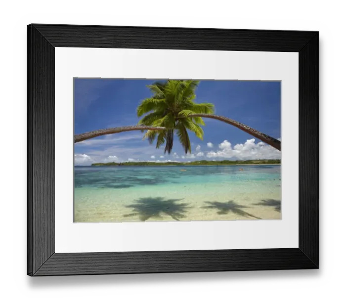 Framed Print : Palm trees, Shangri-La Fijian Resort, Yanuca Island, Coral Coast, Viti Levu, Fiji Framed Print : Palm trees, Shangri-La Fijian Resort, Yanuca Island, Coral Coast, Viti Levu, Fiji