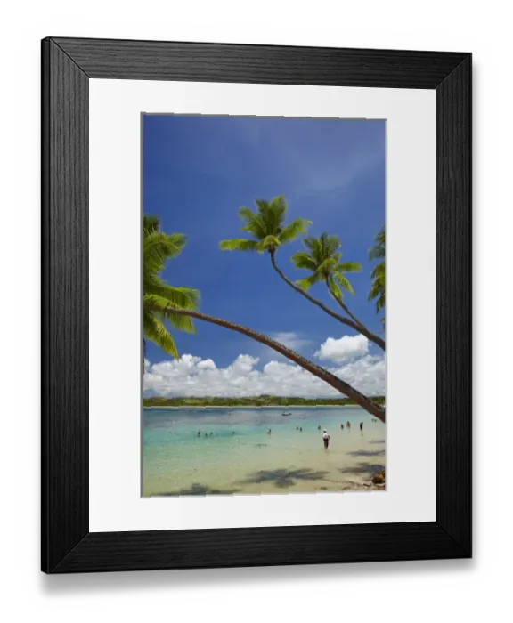 Framed Print : Palm trees, Shangri-La Fijian Resort, Yanuca Island, Coral Coast, Viti Levu, Fiji Framed Print : Palm trees, Shangri-La Fijian Resort, Yanuca Island, Coral Coast, Viti Levu, Fiji