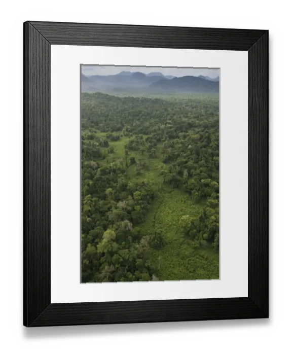 Framed Print : Kanaku Mountains Savanna Rurununi GUYANA South America Framed Print : Kanaku Mountains Savanna Rurununi GUYANA South America