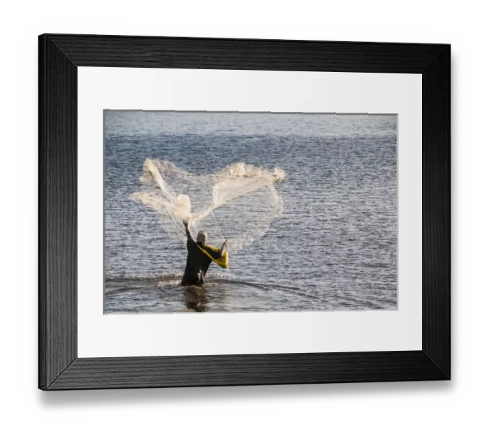 Framed Print : Man netfishing in the harbour of Apia, Upolo, Samoa, South Pacific Framed Print : Man netfishing in the harbour of Apia, Upolo, Samoa, South Pacific