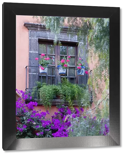 San Miguel de Allende, Window with geraniums and bougainvillia