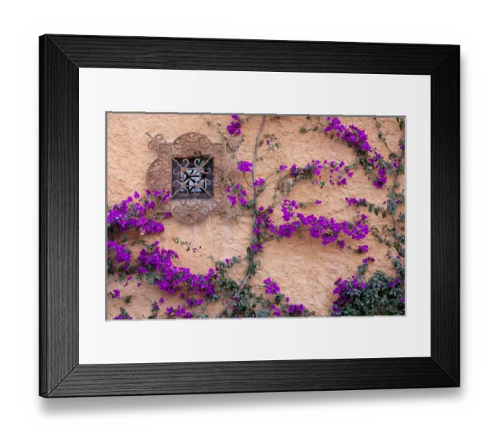 Framed Print : San Miguel de Allende, Mexico, Ornamental window with bougainvillia Framed Print : San Miguel de Allende, Mexico, Ornamental window with bougainvillia