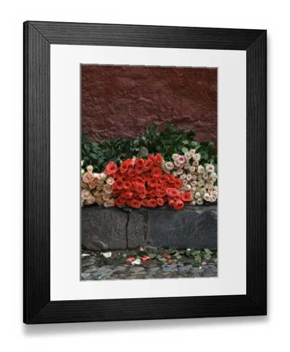 Framed Print : Mexico, San Miguel de Allende, Roses for sale on street