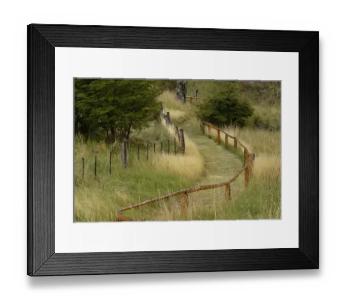 Framed Print : Grass lined pathway, Los Glaciares National Park, Argentina, South America, Patagonia